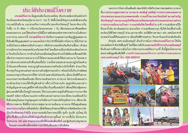 ประเพณีวิ่งควาย 2559