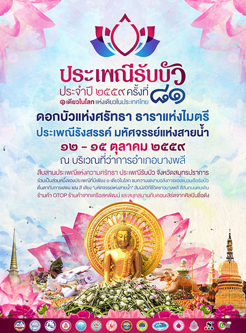 ประเพณีรับบัว 2559