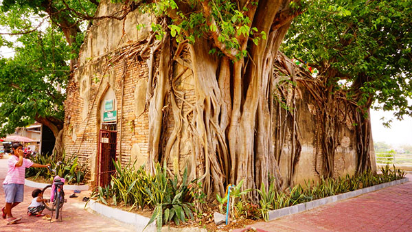 โบสถ์วัดไทร