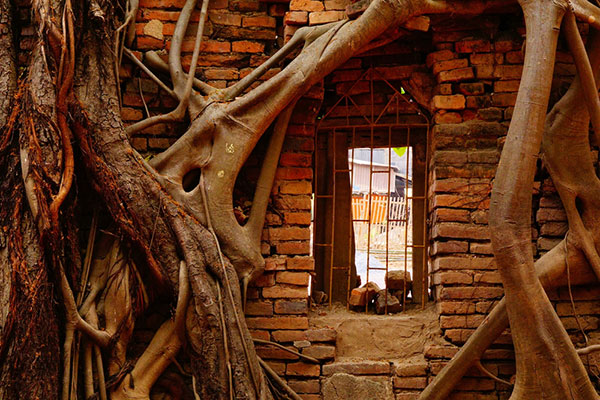 โบสถ์วัดไทร