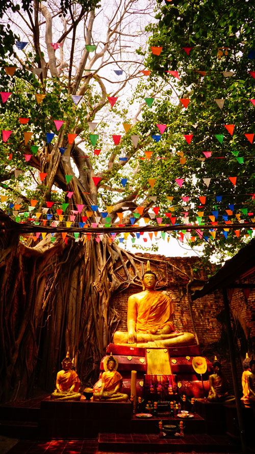 โบสถ์วัดไทร