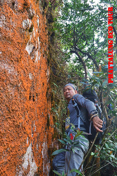 ทะเลหมอกยอดสามภู 