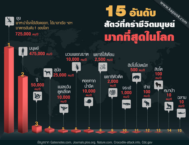 ไข้เลือดออก
