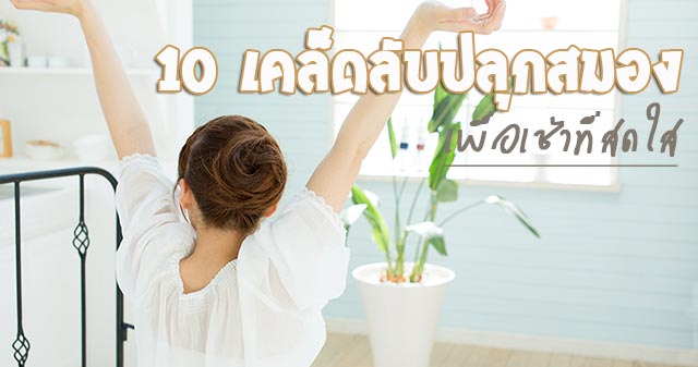 เคล็ดลับปลุกสมอง