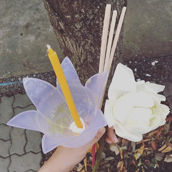 ดาราทำบุญ วันมาฆบูชา