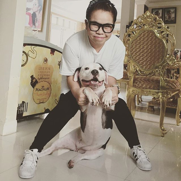 บ้าน ตุ๊กกี้ ชิงร้อยชิงล้าน