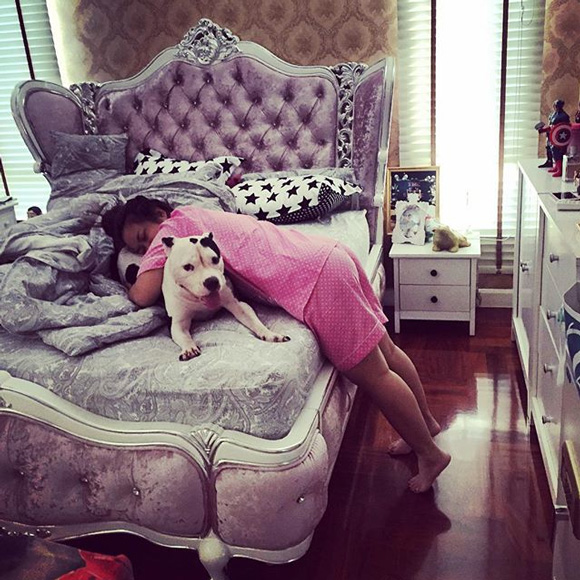 บ้าน ตุ๊กกี้ ชิงร้อยชิงล้าน