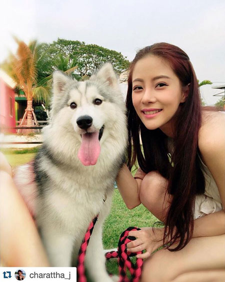 แจม เนโกะ จัมพ์