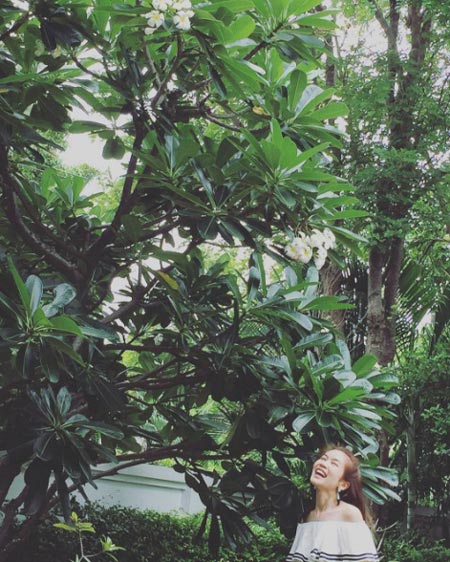 ไบรท์ พิชญทัฬห์ แฟชั่น