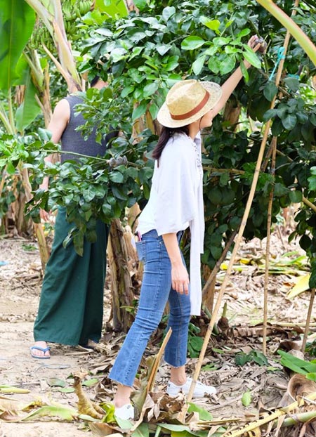 พุฒ จุ๋ย