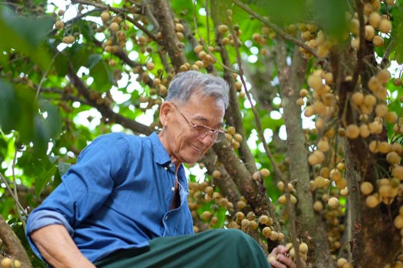 พุฒ จุ๋ย