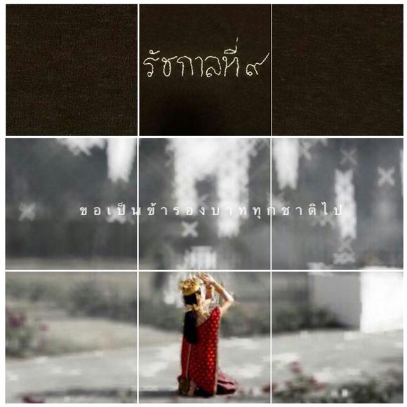 นุ่น วรนุช