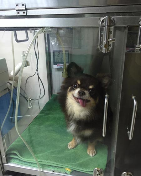 แก้มบุ๋ม ปรียาดา