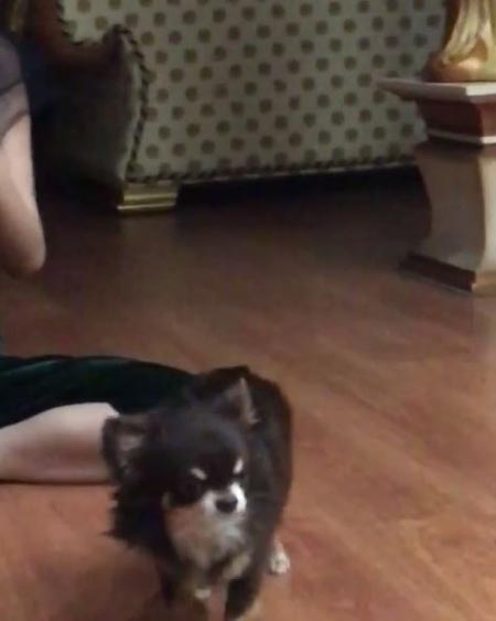 แก้มบุ๋ม ปรียาดา