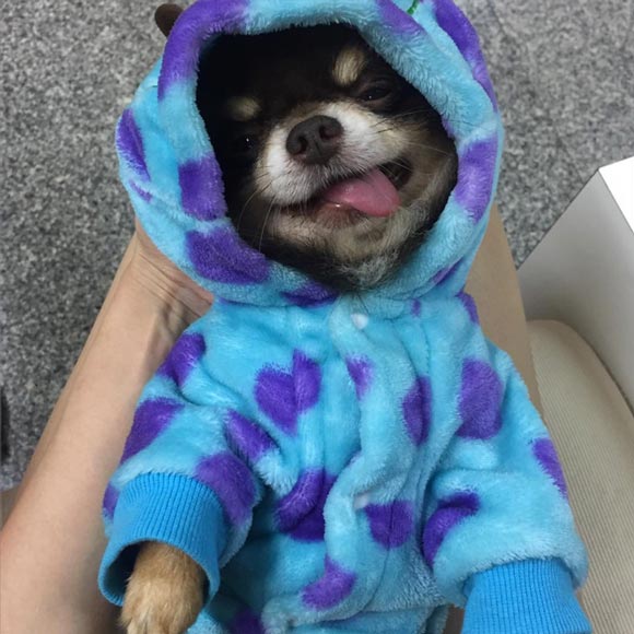 แก้มบุ๋ม ปรียาดา