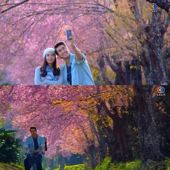 ตามรักคืนใจ