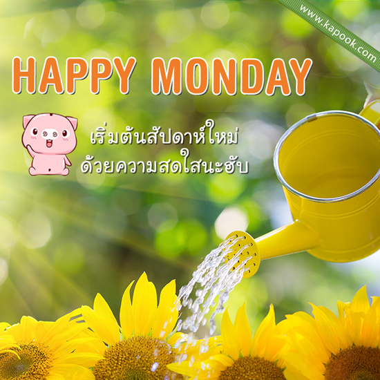 ดูดวงรายวัน