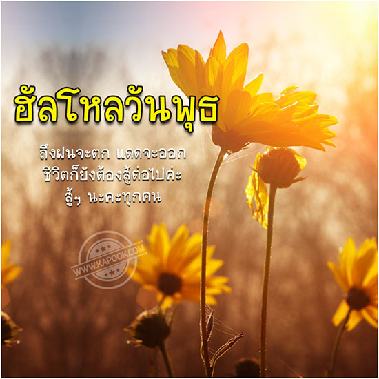 ดูดวงรายวัน 24 สิงหาคม 2559