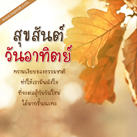 ดูดวงรายวัน 28 สิงหาคม 2559
