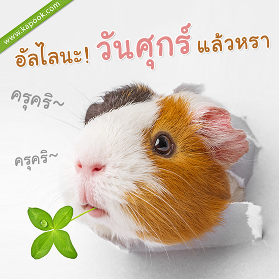 ดูดวง 29 มกราคม 2559
