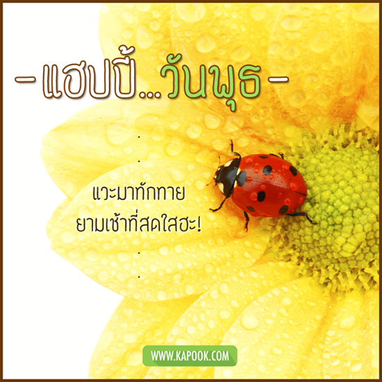 ดูดวง 6 มกราคม 2559