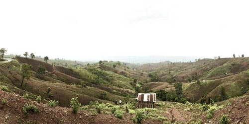 เชอรี่ เข็มอัปสร ร่วมโครงการคนยืนได้ ไม้ยืนต้น