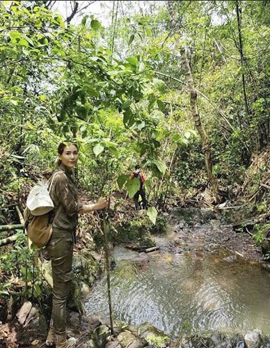 เชอรี่ เข็มอัปสร