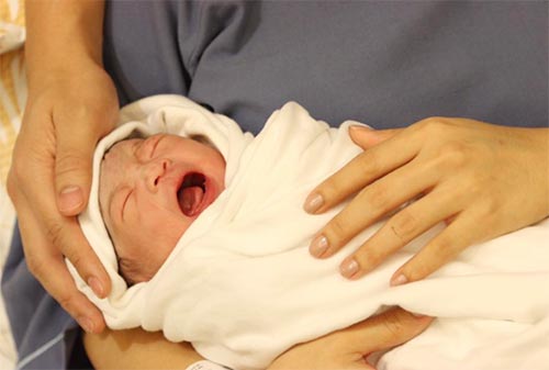 น้องเป่าเปา ลูกกุ๊บกิ๊บ บี้ 