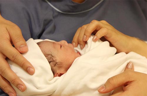 น้องเป่าเปา ลูกกุ๊บกิ๊บ บี้