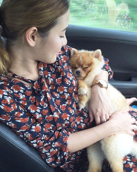 แฟนพัตเตอร์ น้องแพนเค้ก