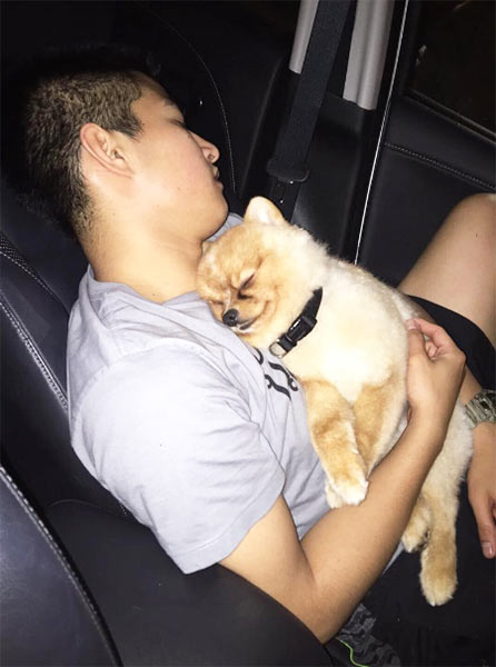 พัตเตอร์ น้องแพนเค้ก