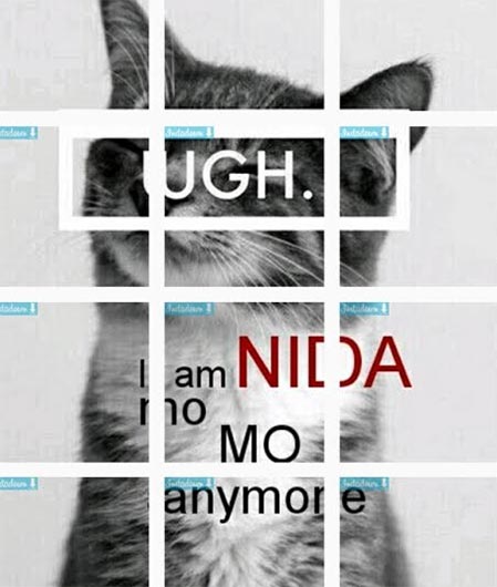 แตงโม ภัทรดา