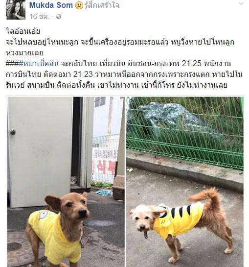 เจ้าหน้าที่เกาหลียิงหมาตาย