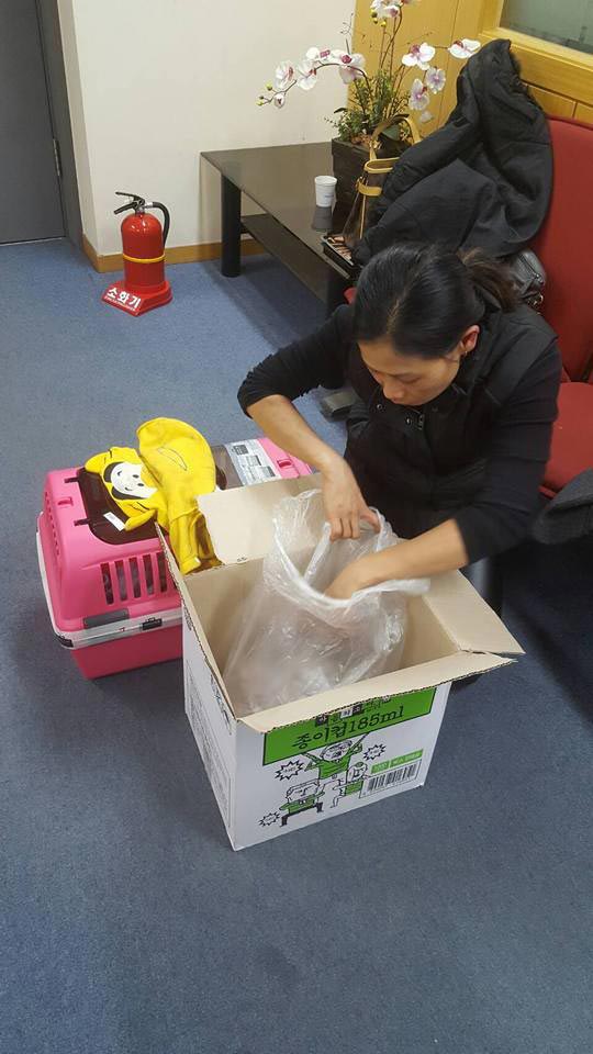 เจ้าหน้าที่เกาหลียิงหมาตาย