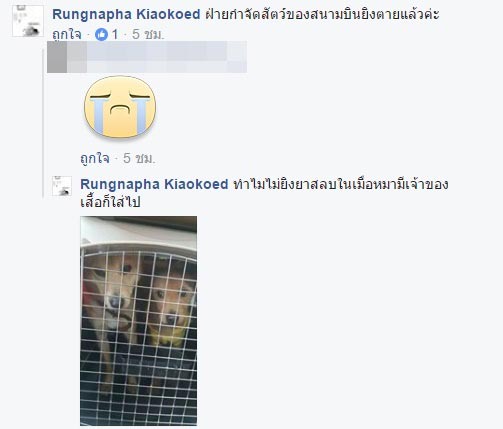 เจ้าหน้าที่เกาหลียิงหมาตาย