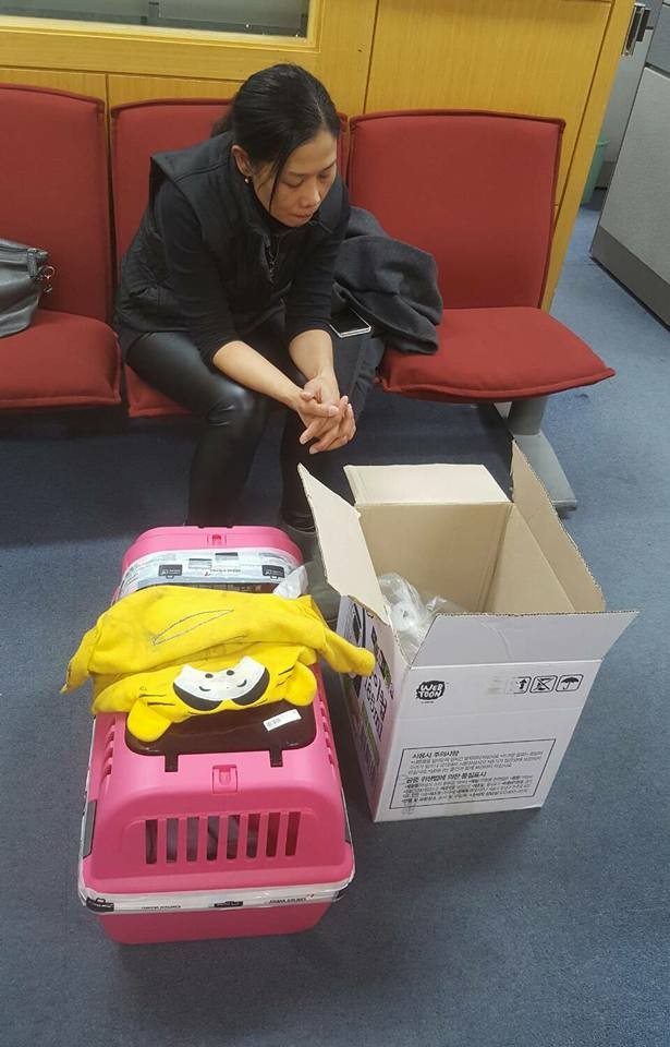 เจ้าหน้าที่เกาหลียิงหมาตาย