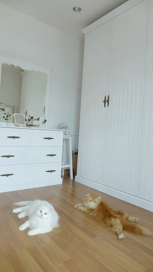 แต่งบ้านสไตล์อังกฤษ