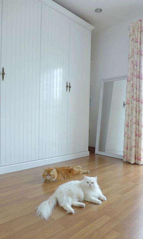 แต่งบ้านสไตล์อังกฤษ