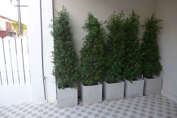 แต่งบ้านสไตล์อังกฤษ