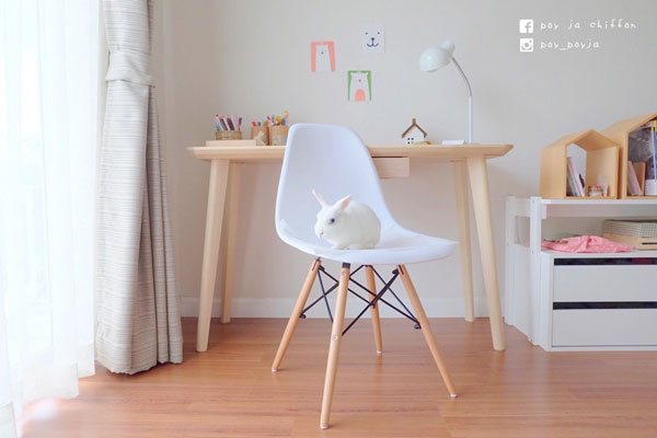 ไอเดียแต่งบ้าน