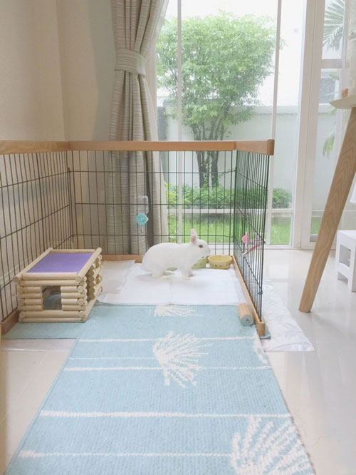 ไอเดียแต่งบ้าน