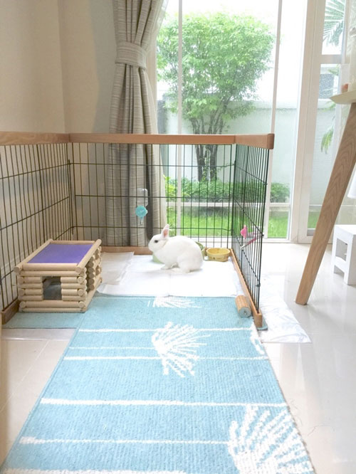 ไอเดียแต่งบ้าน