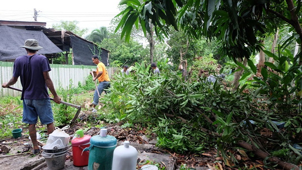 ปลูกบ้านสองชั้น