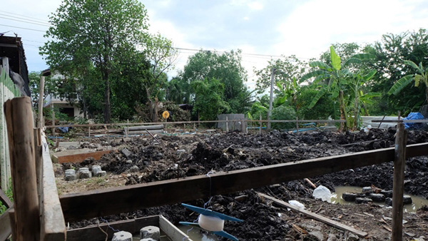 ปลูกบ้านสองชั้น