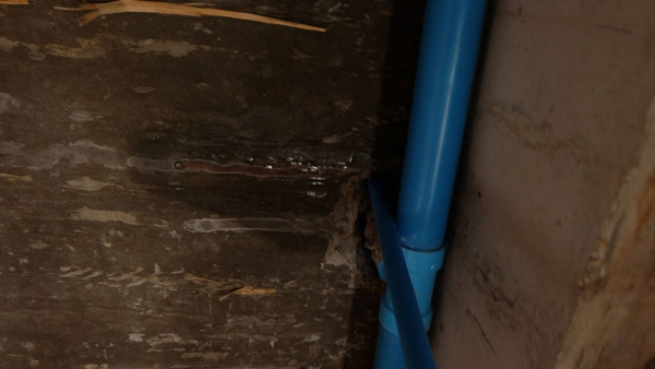 ปลูกบ้านสองชั้น