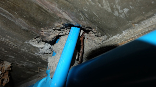 ปลูกบ้านสองชั้น