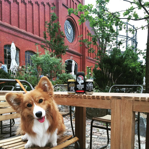 คอร์กี้