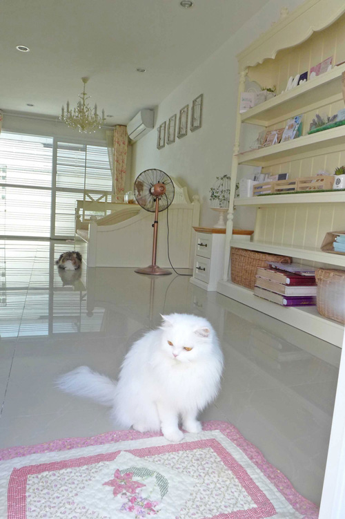 แต่งบ้านสไตล์อังกฤษ