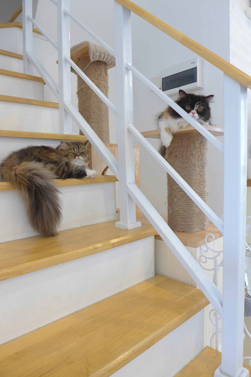 แต่งบ้านสไตล์อังกฤษ