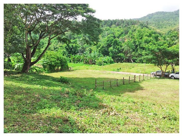 ปลูกบ้านชั้นเดียว